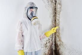 Best Forensic Mold Investigation  in USA